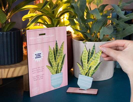 SNAKE PLANT UNKILLABLE HOUSEPLANT