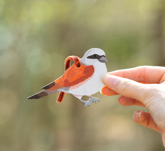 RED BACKED SHRIKE WOODEN DECORATION