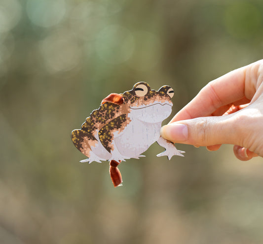 NATTERJACK TOAD WOODEN DECORATION