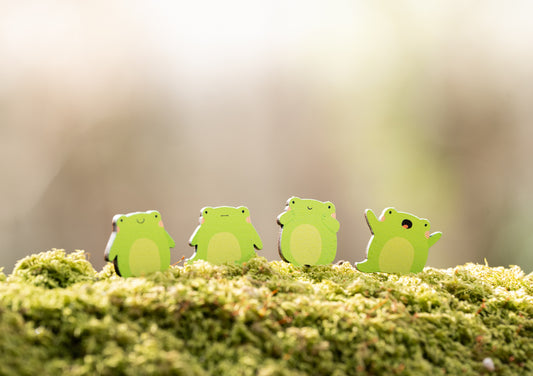 TINY FROG WOODEN POP OUT MAGNETS