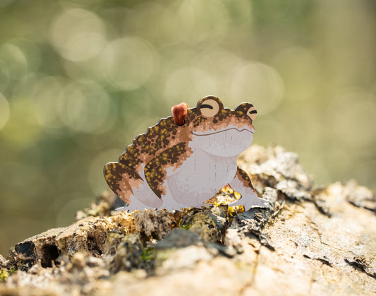 WHOLESALE - NATTERJACK TOAD DECORATION - PACK OF 5