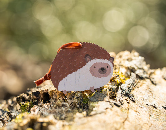 WHOLESALE - HEDGEHOG DECORATION - PACK OF 5