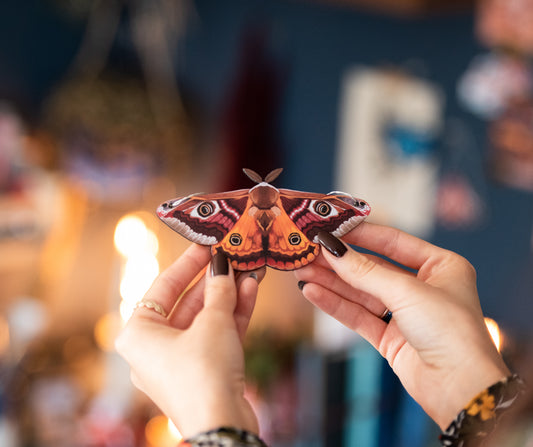 WHOLESALE - RED EMPEROR MOTH DECORATION - PACK OF 5